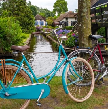 giethoorn canals - a bicycle parked next to a tree in a field