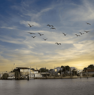 Tarpon Springs Sponge Docks, Visit The The Nature Coast