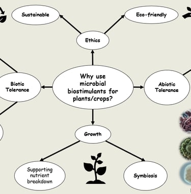 why use microbial biostimulants