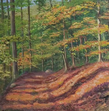 Vallombrosa - acrilico 30x40cm