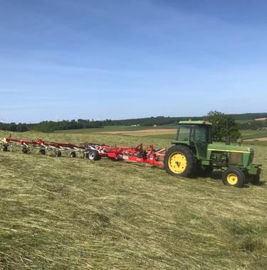 La récolte du foin bio