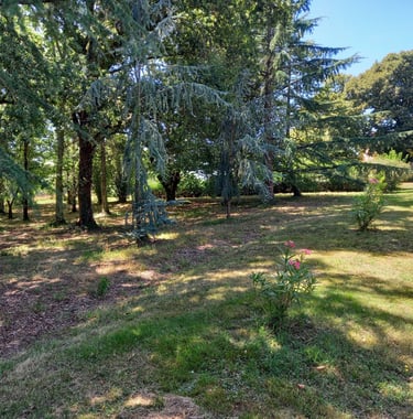 chantelevent-maison-pompignac-gironde-petit-bois