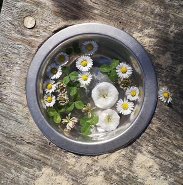 Blumen Dekoration im Garten