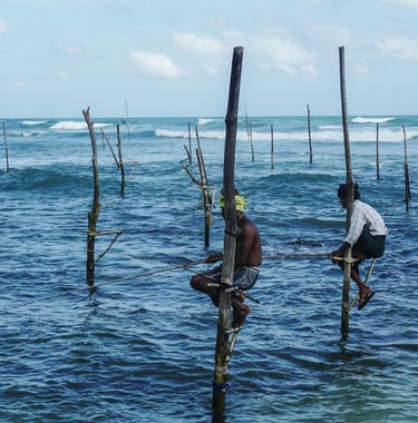 stilt fishing sri lanka