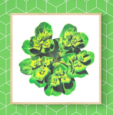 Green flower print framed