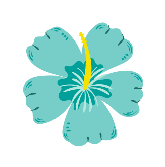 fleur-d-hibiscus-bleue