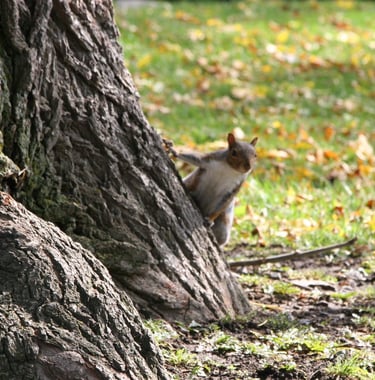 Svarbu tai, ko gyvenimas tikisi iš mūsų