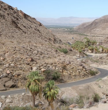 Vienintelis teisingas kelias neegzistuoja