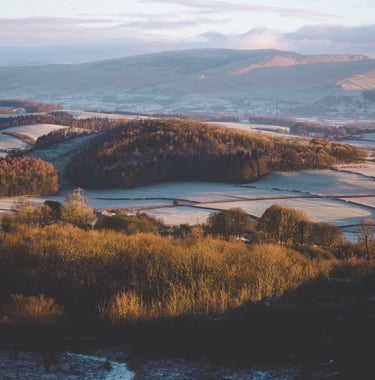 a frosty countryside with trees being lit with a warm sunrise