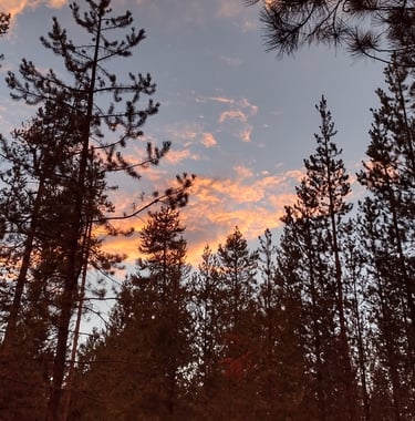 a sunset sky with clouds and trees in the background