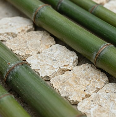 Macro photography of sustainable building materials like local bamboo and stone used in a Central American / Costa Rican eco-luxury home. Soft natural lighting, focusing on textures of elegant cream off-white and rich emerald green.