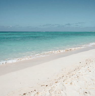 A serene photograph of a pristine white sand beach at a tropical North American destination, with turquoise water and a clear horizon, captured in soft professional lighting.