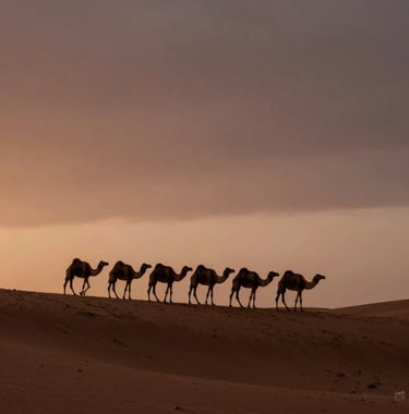 A camel caravan silhouette walking across soft sand dunes at dusk, with a sky fading from warm terracotta to deep espresso.