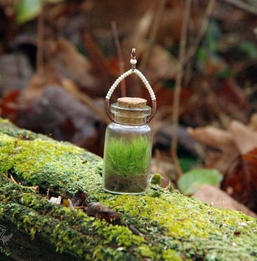 Tiny wire wrapped terrariums with live moss.
