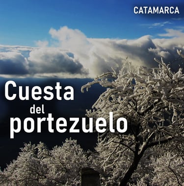 a tree with snow covered branches and clouds