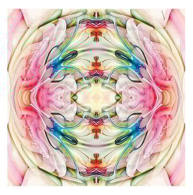 DeConstructed Photography, Abstract art, abstract photography, floral art, Epiphyllum Flower
