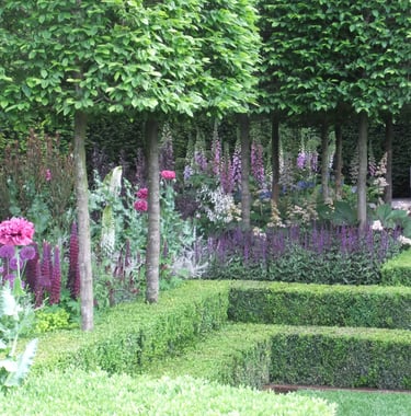 kleurrijke borders in de tuin