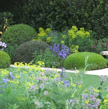 vormsnoei en mooie beplanting