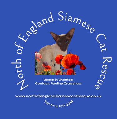 North of England Siamese Cat Rescue banner