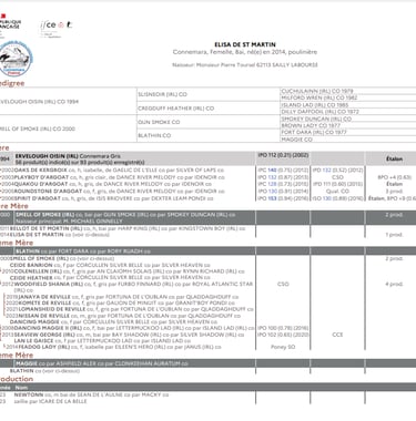 Fiche généalogique ELISA DE ST MARTIN