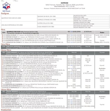 Fiche généalogique KAPRISSE