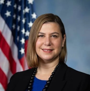 Senator Elissa Slotkin image