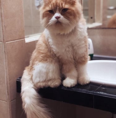 Peaceful neighborhood environment for living in Bali