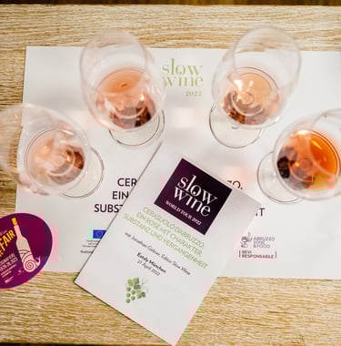 Table with 4 glasses of rosé spread out in a semi-circle on a white tasting mat