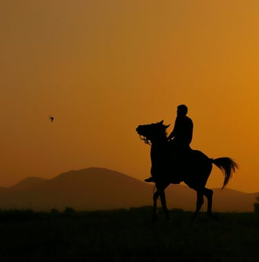Silhouette of Person Riding a Horse by Zeynep Seçer
