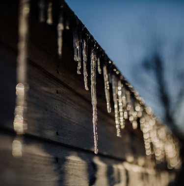 Icicles hanging from fence by Phil Hearing