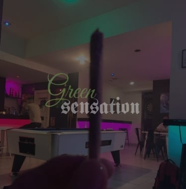 Interior de Green Sensation Cannabis Club con ambiente lounge y luz tenue