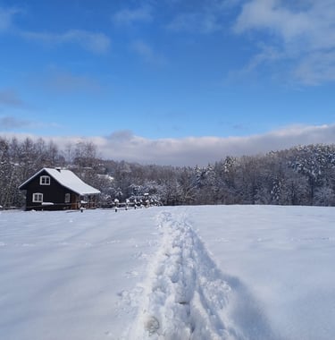 Sękiewiczówka - agroturystyka małopolska - gospodarstwo agroturystyczne dla dzieci