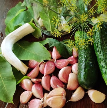 Sękiewiczówka - agroturystyka małopolska - gospodarstwo agroturystyczne dla dzieci