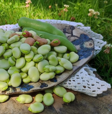 Sękiewiczówka - agroturystyka małopolska - gospodarstwo agroturystyczne dla dzieci