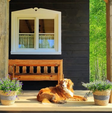 Sękiewiczówka - agroturystyka małopolska - gospodarstwo agroturystyczne dla dzieci