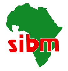 SIBM