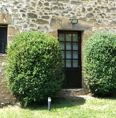 Chambre d'hôte, jardin, Plazac.