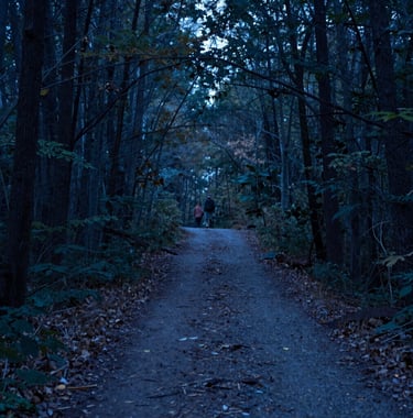 A tranquil image of a North American forest path at dawn, symbolizing the journey of mental health. The atmosphere is quiet, forward-thinking, and trustworthy. Colors: Steel Blue and Dark Navy.