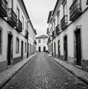Artistic black and white photography of a cobblestone street in a historic Portuguese district, captured with elegant lighting.