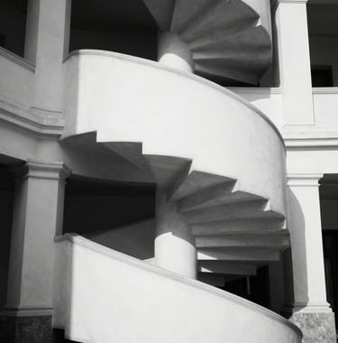 An abstract, high-contrast photograph of a grand spiral staircase in a white architectural space. The dark shadows create geometric patterns against the white stone. European sophisticated style, black and white.