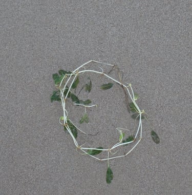 A vine wrapped in a wreath shape washed up on the sand