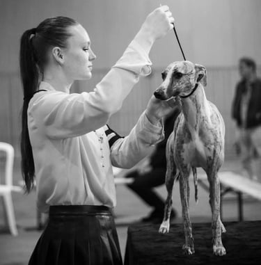 Alexine en expo