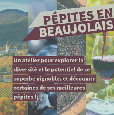 pépites en beaujolais cours oenologie lyon on veille au grain