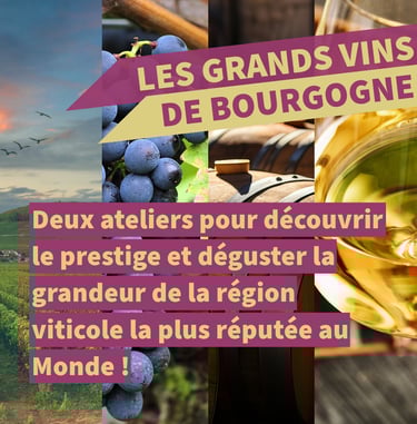 vins bourgogne cours oenologie lyon