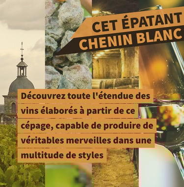 cours oenologie chenin loire