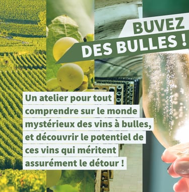 cours oenologie vins effervescents bulles champagne