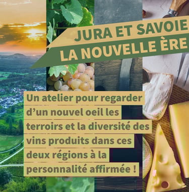 jura savoie vin cours oenologie lyon