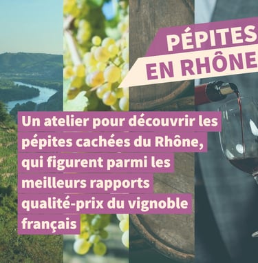 pépites vins rhone cours oenologie dégustation lyon on veille au grain