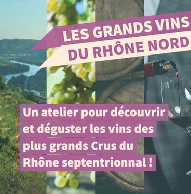 grands vins rhone nord cours oenologie dégustation lyon on veille au grain