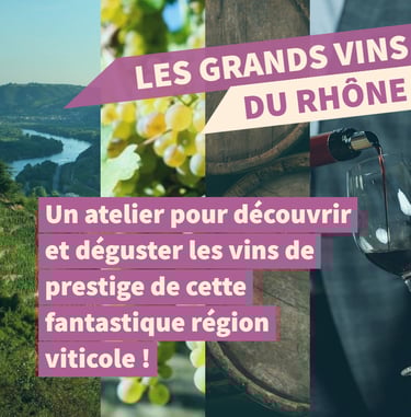 cours oenologie vallée du rhone